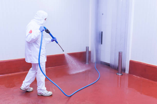 Best Post-Construction Pressure Washing  in Nokesville, VA