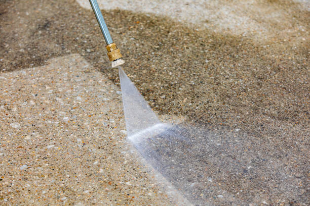 Best Animal Enclosure Cleaning  in Nokesville, VA